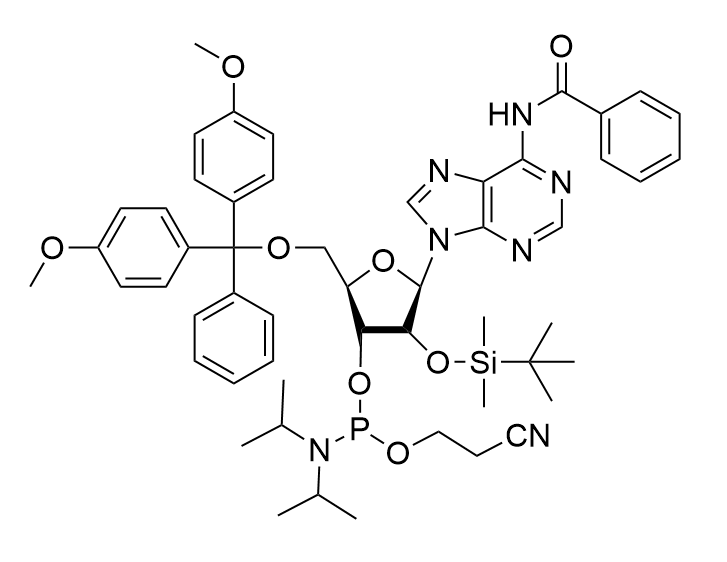 5'-DMT-2'-TBDMS-N6-Bz-rA 亚磷酰胺单体